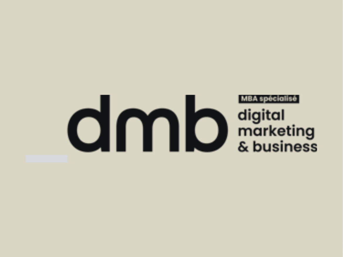 mba dmb logo formation web marketing